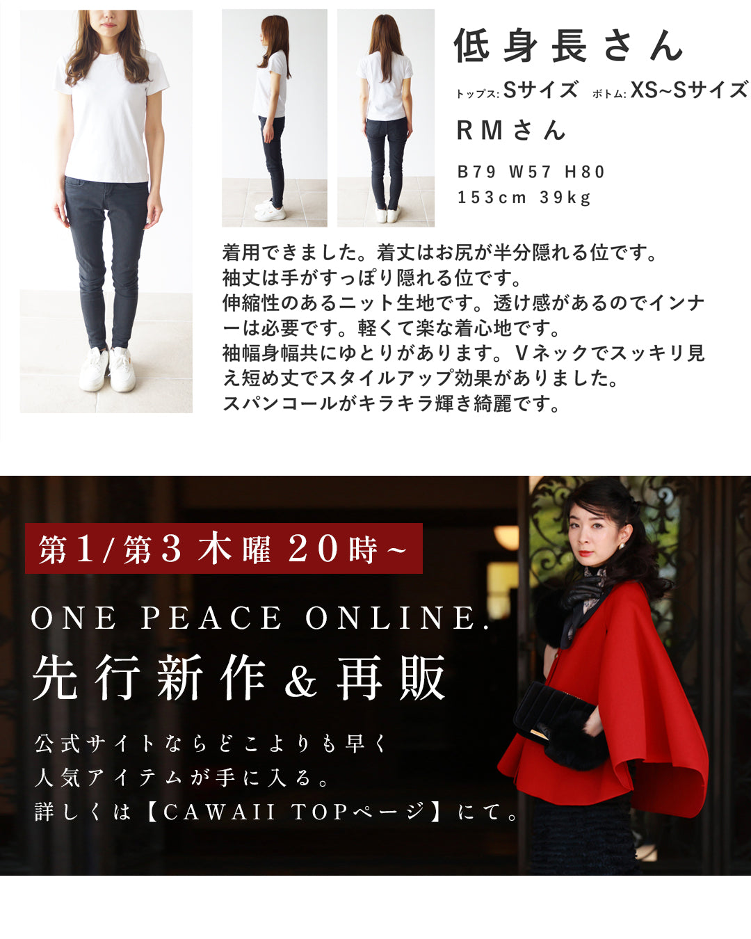 スパンコール連なるアーガイルラインニットプルオーバートップス