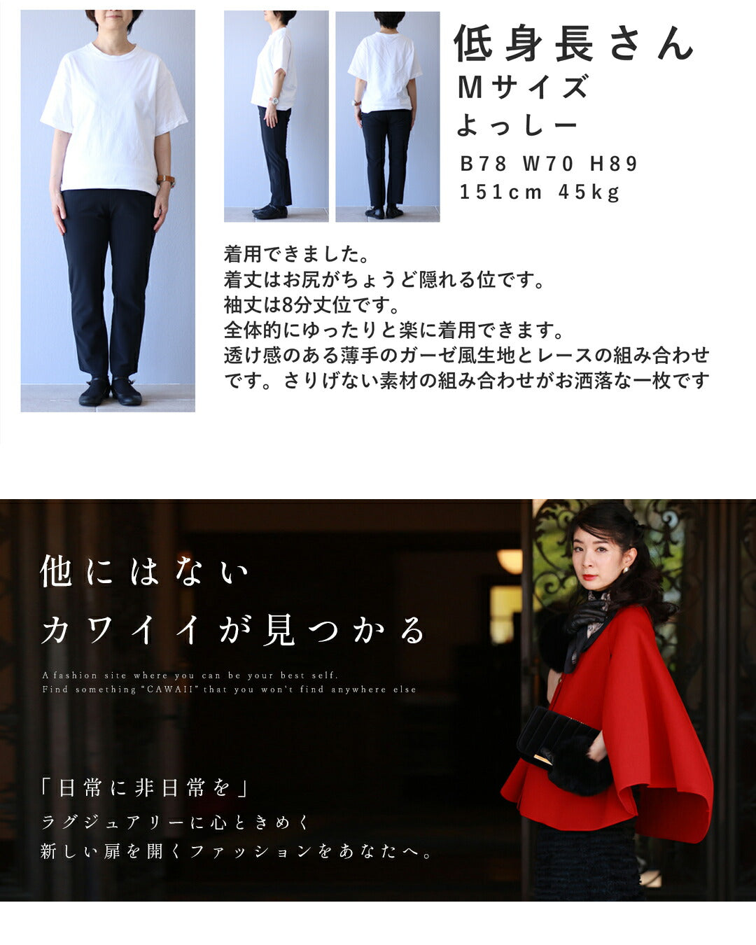 ふんわり柔らかなシアーベールの刺繍ブラウストップス 4/13新作