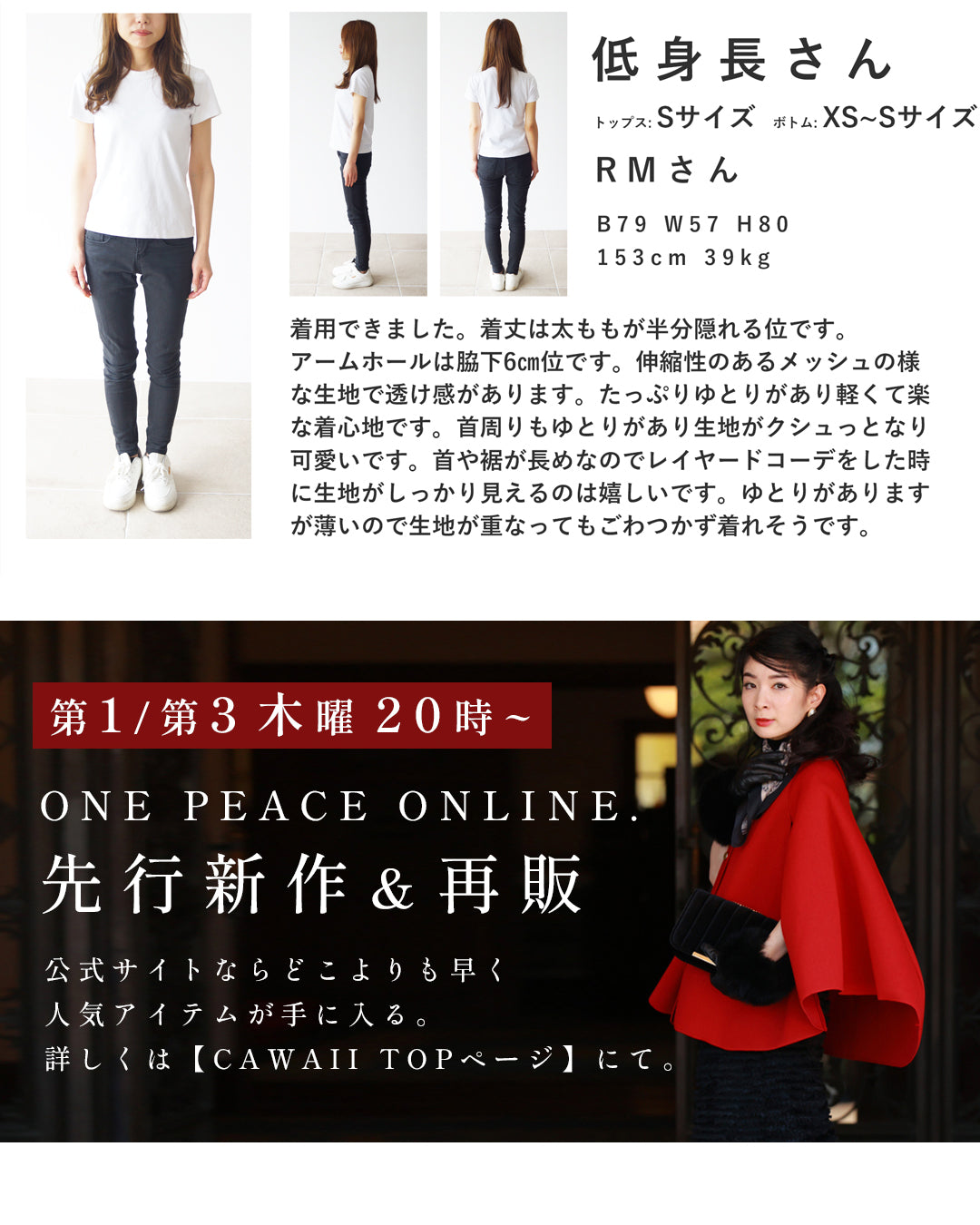手持ち服にちょい足し ノースリヴェール　4/15新作