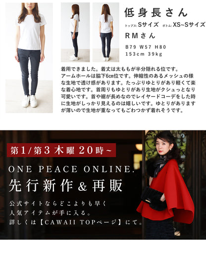 手持ち服にちょい足し ノースリヴェール　4/15新作