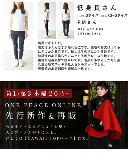 ぐるりと美しさ広がる青花刺繍ベールミディアムワンピース　