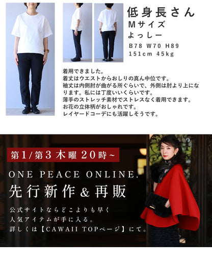 ゆったり「楽」 彫刻花ドルマントップス　4/15新作