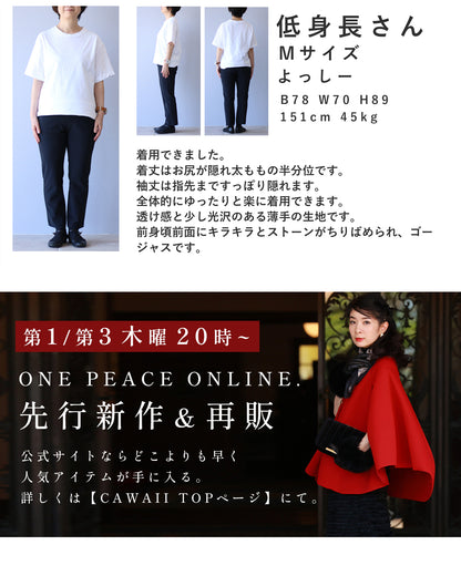ビジューの煌めきを纏うリーフ刺繍シアーシャツトップス　4/8新作